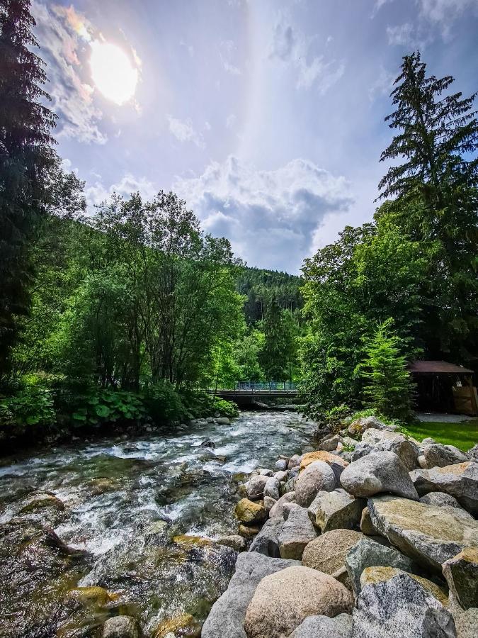 Tatrystay Riverstone Chalets เดมานอฟสกา โดลินา ภายนอก รูปภาพ