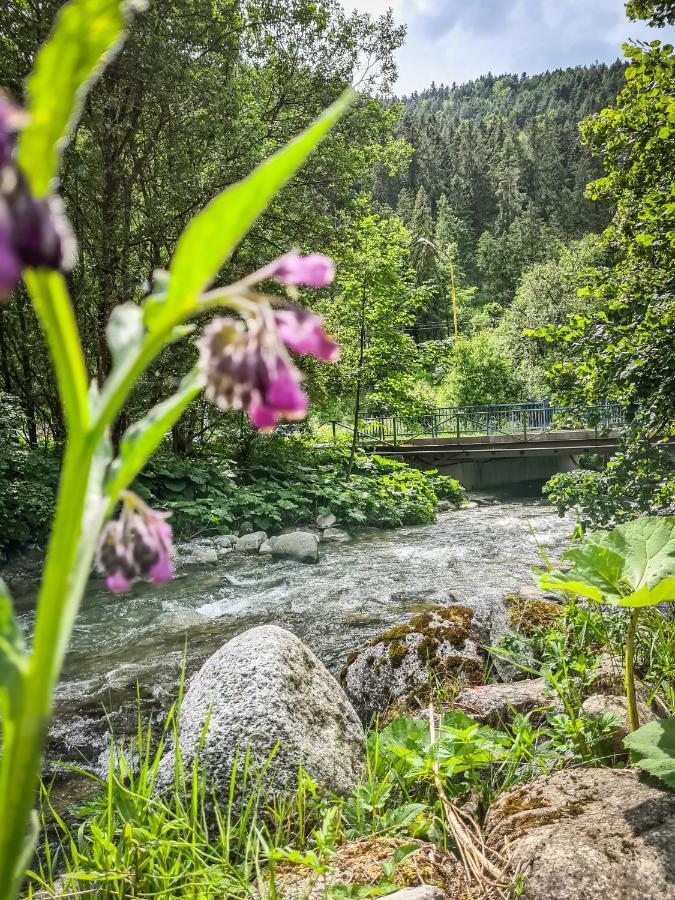 Tatrystay Riverstone Chalets เดมานอฟสกา โดลินา ภายนอก รูปภาพ